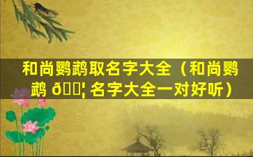 和尚鹦鹉取名字大全（和尚鹦鹉 🐦 名字大全一对好听）